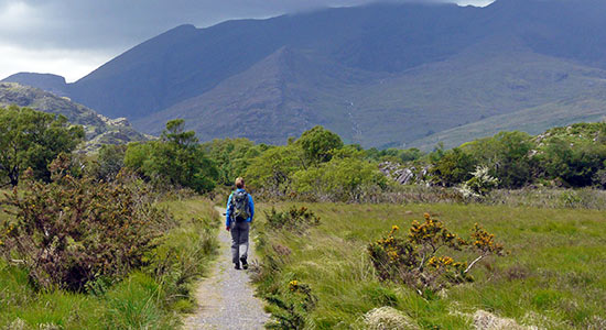Wandelaar op de Kerry Way